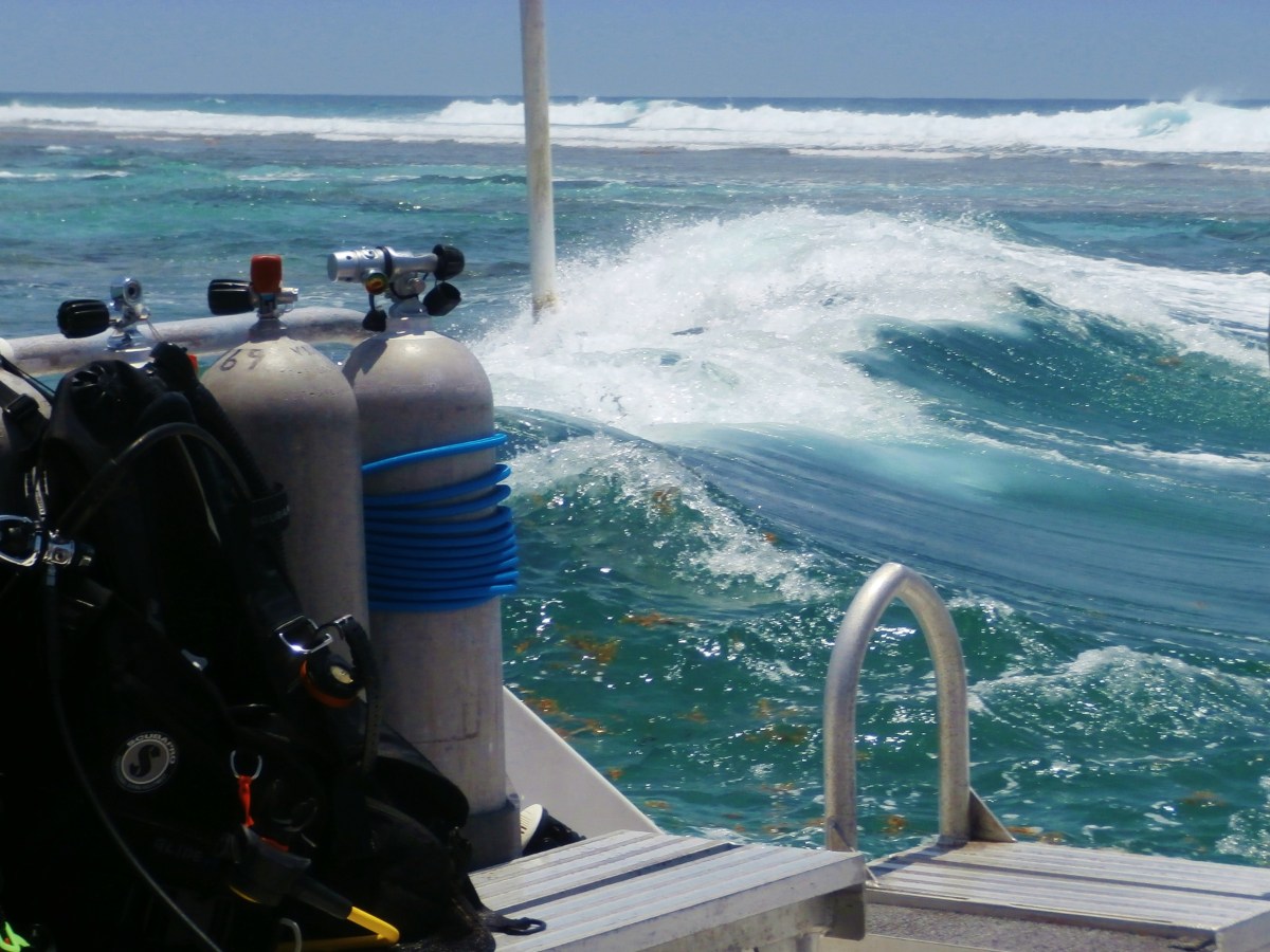 Are we diving&nbsp;yet?