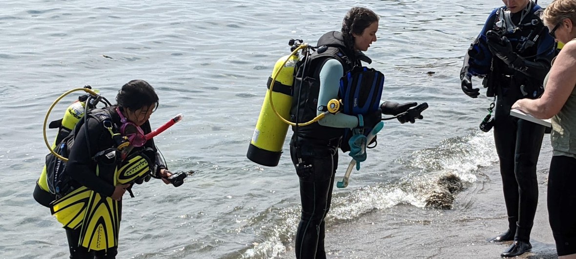 Scuba divers reporting their time and pressure to the Divemaster after the dive - with Blue North Scuba Club, Toronto