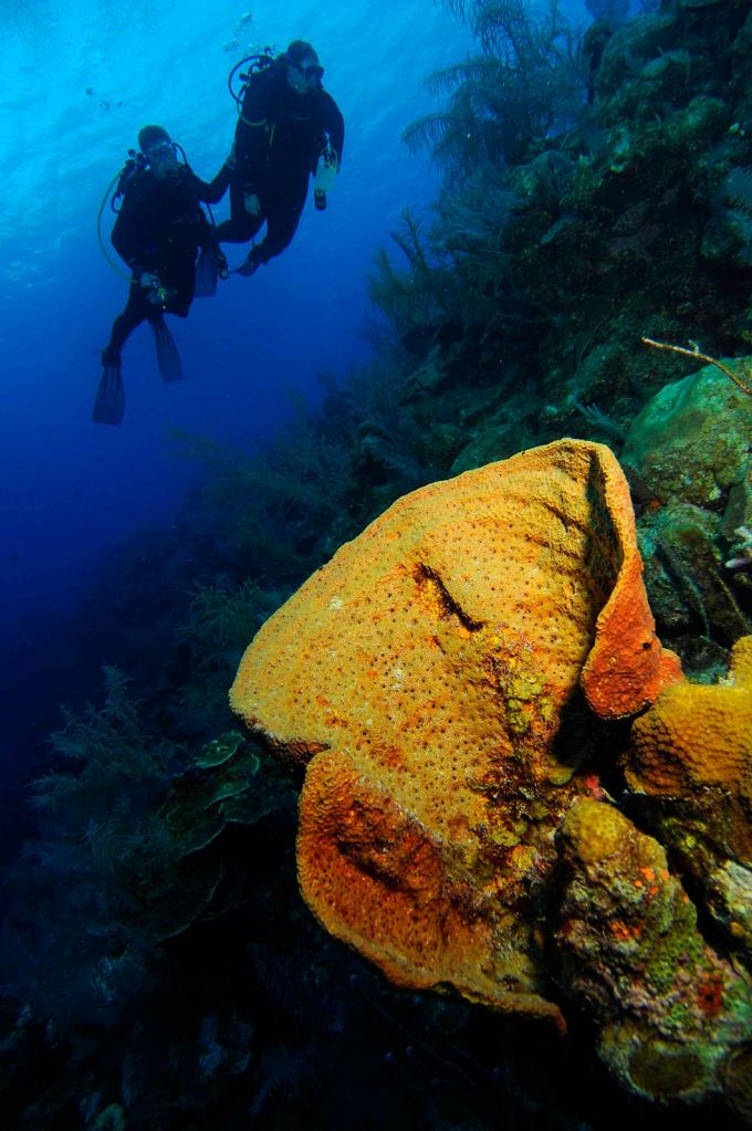 Bohio Resort, Turks and Caicos Dive Trip 2022