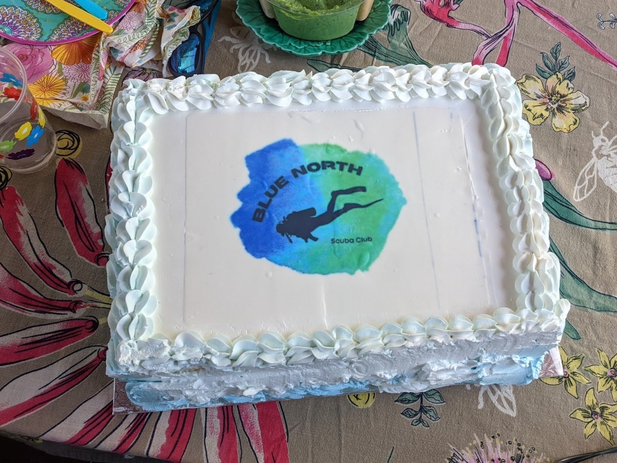 Trip News 2022: BBQ Party and Humber Bay, June 25,&nbsp;2022