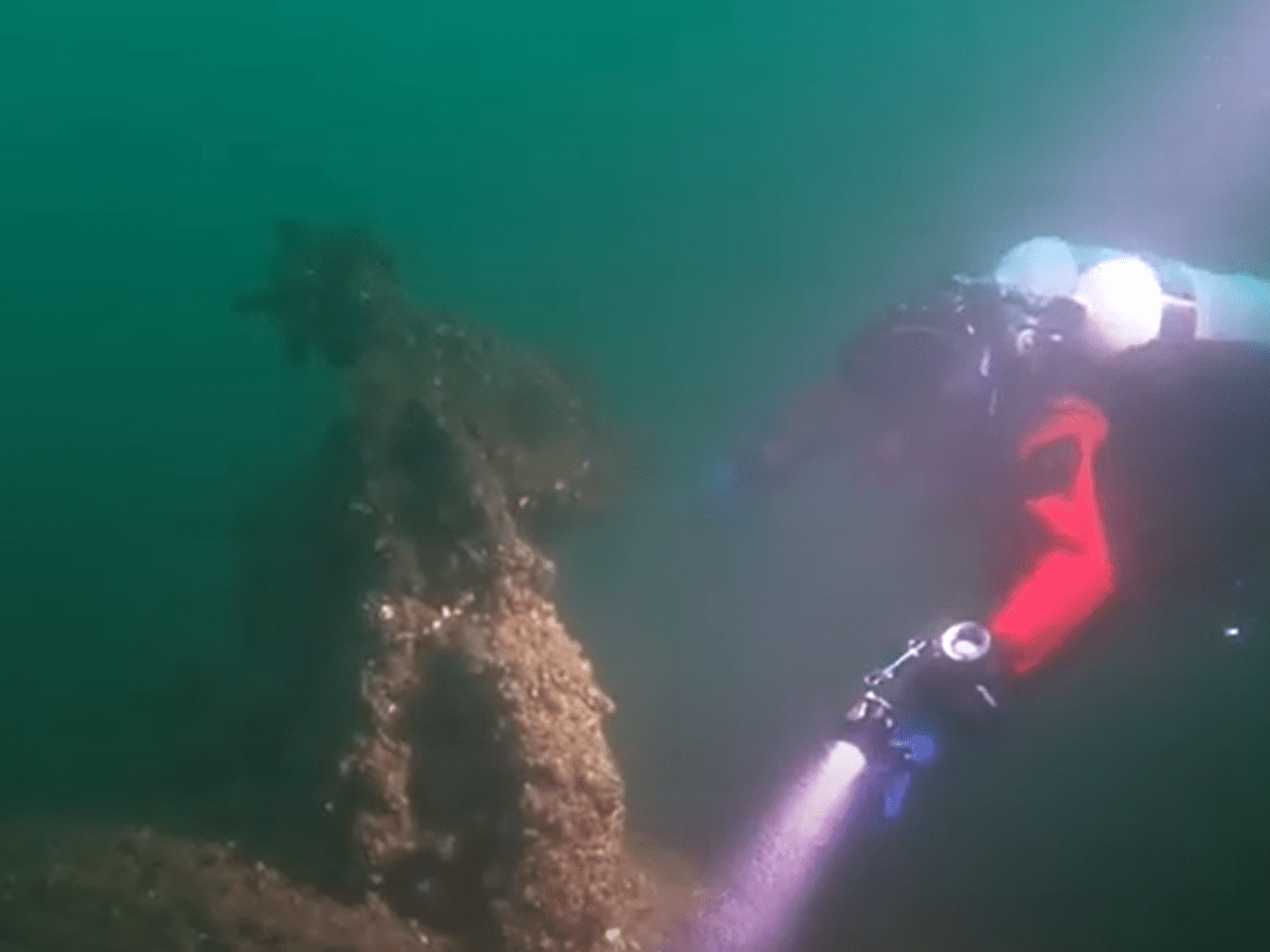 Trip News 2023: Kingston July 15-16,&nbsp;2023