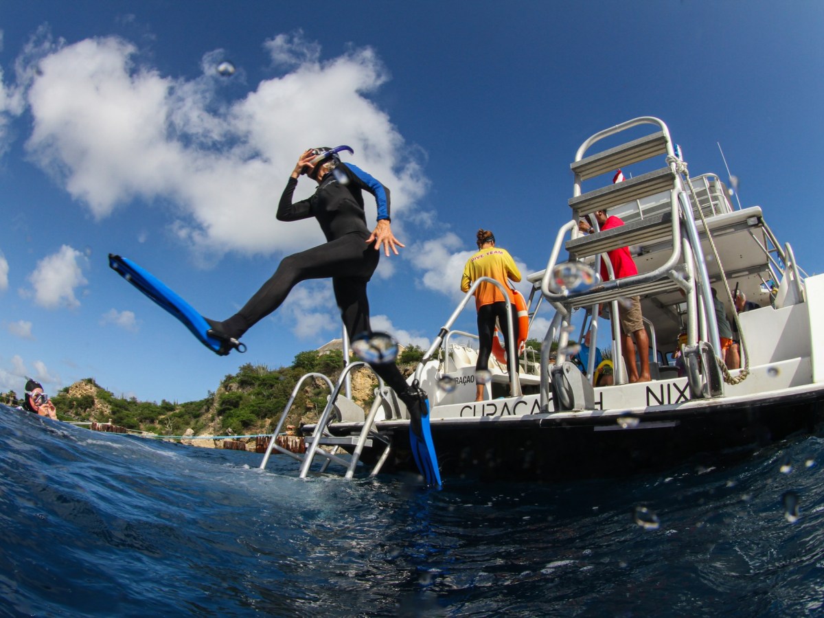 This month’s “Newsplash” newsletter