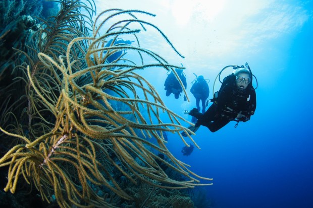 Scuba divers in Curacao - with Blue North Scuba Club, Toronto