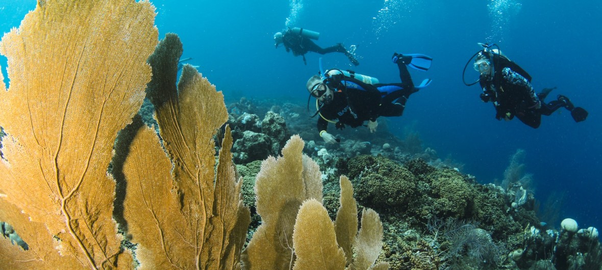 Scuba divers - with Blue North Scuba Club, Toronto