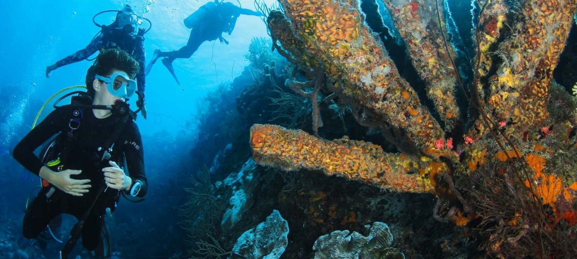 Diver - with Blue North Scuba Club, Toronto
