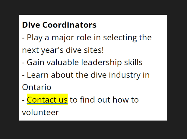 Dive coordinator wanted