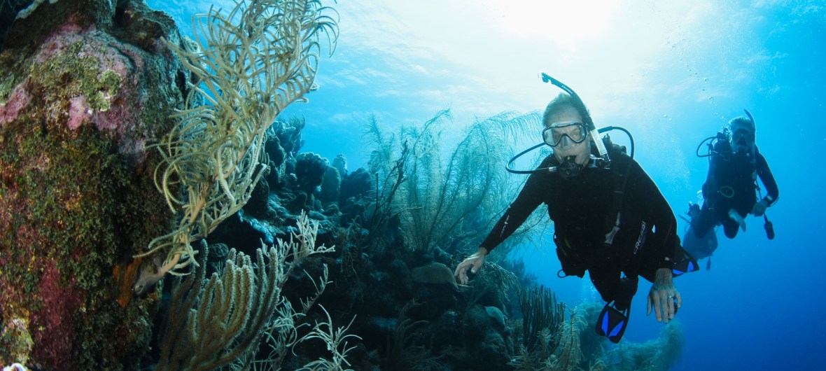 Scuba diver - with Blue North Scuba Club, Toronto