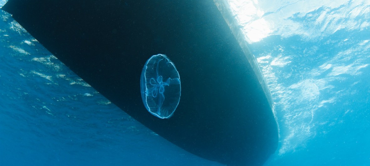 Dive boat. Blue North Scuba Club in Toronto