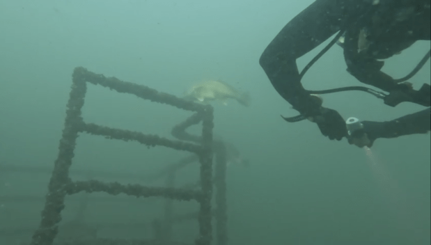 Wolfe Islander II, Kingston ON