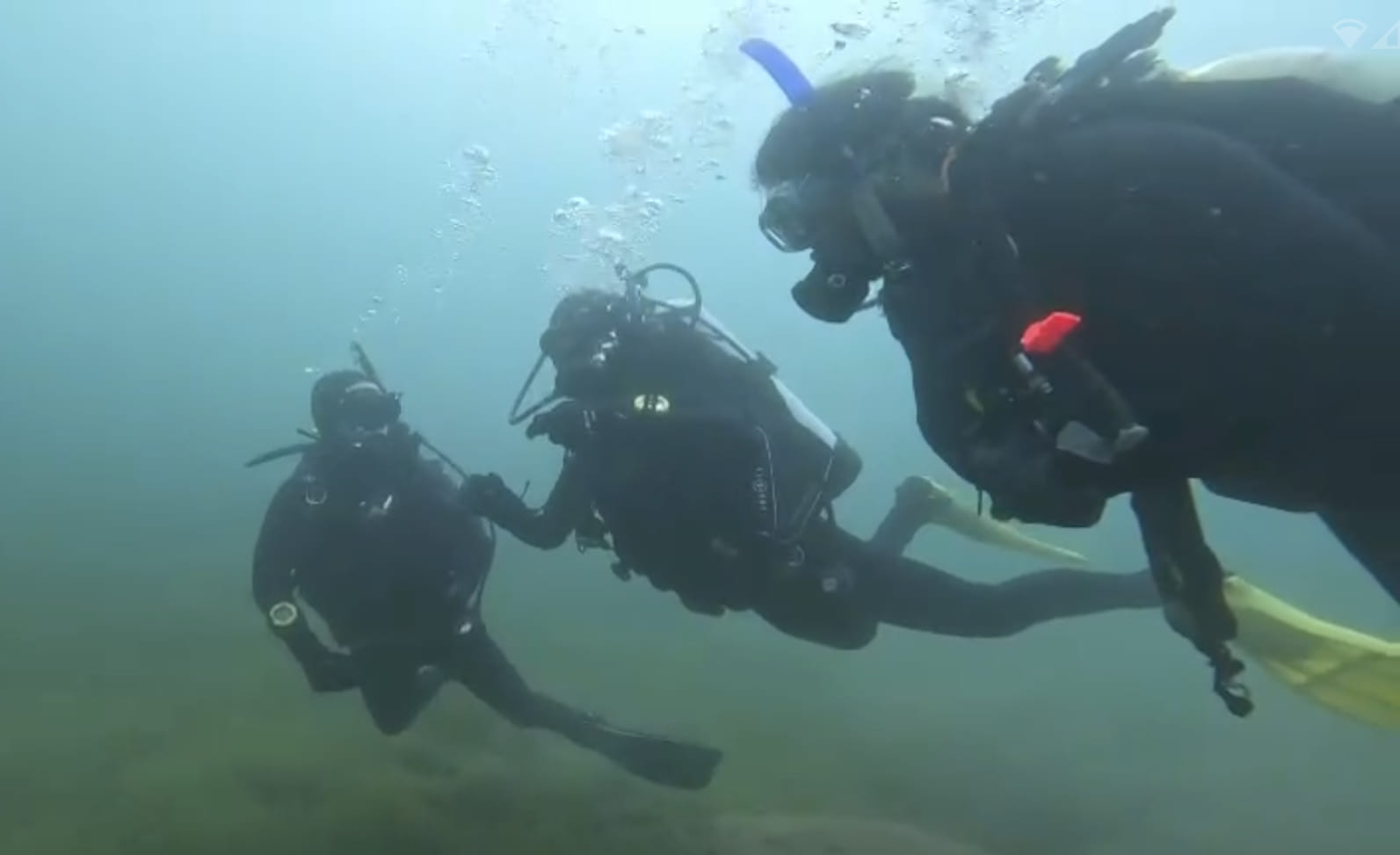 three divers in ontario