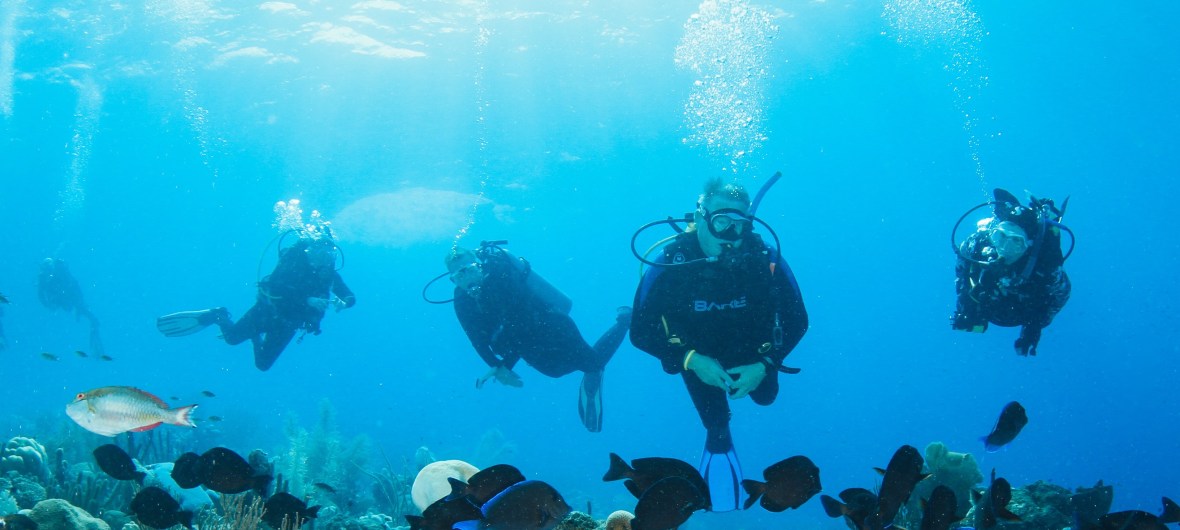 divers