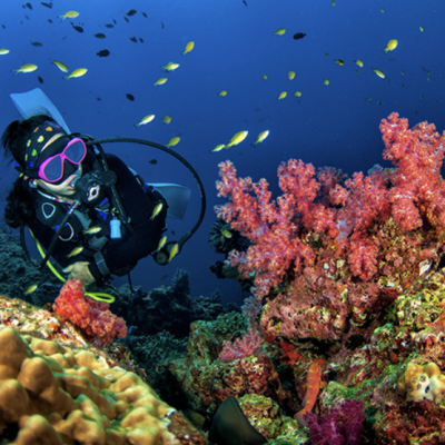 We’re going to St.&nbsp;Lucia!